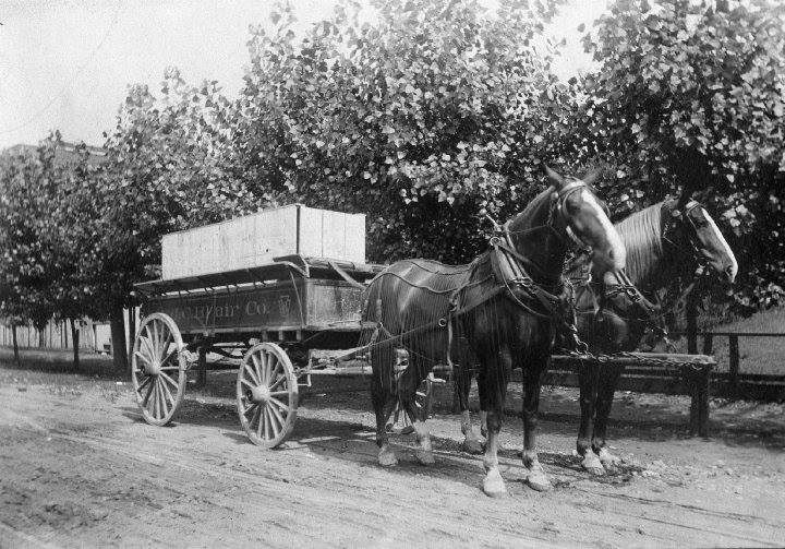 Delivery Wagon